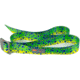 Wingo Outdoors Basecamp Belt, Mahi Mahi, One Size Fits Most, W-BAS-109-OS