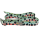 Wingo Outdoors Basecamp Belt, Rainbow Trout, One Size Fits Most, W-BAS-112-OS