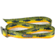 Wingo Outdoors Basecamp Belt, Rangeley, One Size Fits Most, W-BAS-113-OS