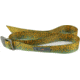 Wingo Outdoors Basecamp Belt - RepYourWater, Brook Trout, One Size Fits Most, W-BAS-503-OS