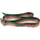 Wingo Outdoors Basecamp Belt - RepYourWater, Rainbow Trout, One Size Fits Most, W-BAS-509-OS