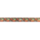 Wingo Outdoors Wading Belt, DeYoung Freshwater, One Size Fits Most, W-WAD-603-OS