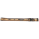 Wingo Outdoors Wading Belt - RepYourWater, Dry Or Die, One Size Fits Most, W-WAD-507-OS