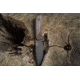 WOOX Rock 62 Fixed Blade Knife, 4.25 in, Drop Point, Mil-Spec Grey, Sleipner Steel Blade, Engraved American Walnut Handle, BU.KNF001.02