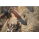 WOOX Rock 62 Fixed Blade Knife, 4.25 in, Drop Point, Mil-Spec Black, Sleipner Steel Blade, Plain American Walnut Handle, BU.KNF001.01