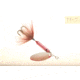 Wordens Rooster Tail In-Line Spinner, 2 1/4in, 1/8 oz Treble Hook, Flash Red, 208-FRED
