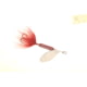 Worden's Rooster Tail In-Line Spinner, 2 1/4in, 1/8 oz, Treble Hook, Red, 208-R