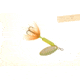 Wordens Rooster Tail In-Line Spinner, 2 3/4in, 1/4 oz Treble Hook, Strobe Chartreuse, 212-SCHR