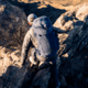 Yeti Mens Skala Backpack
