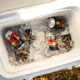 Yeti Roadie 32 Quart Wheeled Hard Cooler