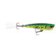 Yo-Zuri 3DB Popper Lure, 75mm, Prism Frog, R1101 PF