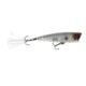 Yo-Zuri 3DB Popper Lure, 75mm, Prism Ghost Shad, R1101 PGSH