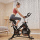 Yosuda Indoor Stationary Bikes YB007A, 7362822275246