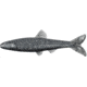 Yum Ned Minnow Bait, 3in, Phantom, YNM3371