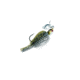 Z-man Project Z Chatterbait Bladed Swim Jig 1/2oz 5/0 Hook, Green Pumpkin Shad, CB-PZ12-05