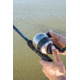Zebco 33 Spincast Reel and Rod Combo, 5ft 6in 2-PC Fiberglass Rod, QuickSet Anti-Reverse Reel w/ Bite Alert, Including BONUS Reel, Silver, 3333N.BP4