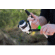 Lew's Cat Daddy Spinning Reel &amp; Rod Combo, 7ft, 2-PC Rod, SZ 50 Reel, CDS5070MH-2