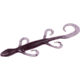 Zoom Lizard, 9 Pack, 6in, Purple Pumpkin, 002432X