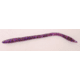 Zoom Trick Worm Worm, 20, 6.5in, Cotton Candy, 006023-SP