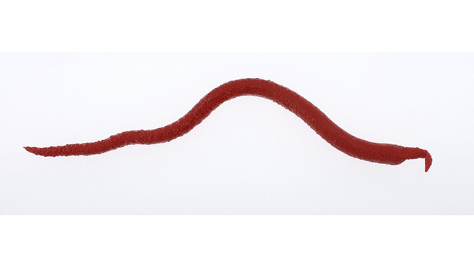 Berkley Gulp! Saltwater Extruded Bloodworm Soft Bait, Bloody, 1120293