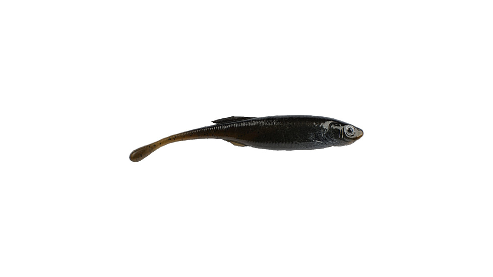 Berkley PowerBait Drip Minnow Soft Bait, 4in, 5 Pack, Green Pumpkin Shad, 1624181