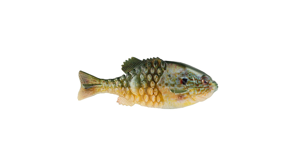 Berkley PowerBait Gilly Soft Bait, HD Pumpkinseed, 110, 1546065