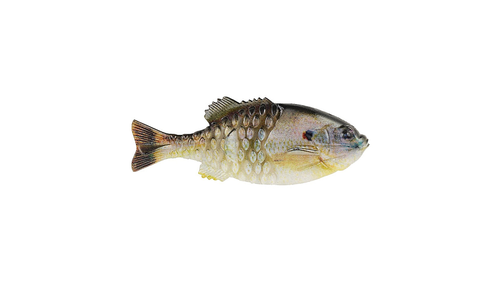 Berkley PowerBait Gilly Soft Bait, HD Sunfish, 90, 1546051