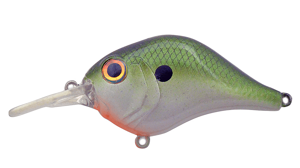 Bill Lewis MR 6 Shad, 1, 2.25 -- 2.25in, Tennessee Shad, BLF-6MR39