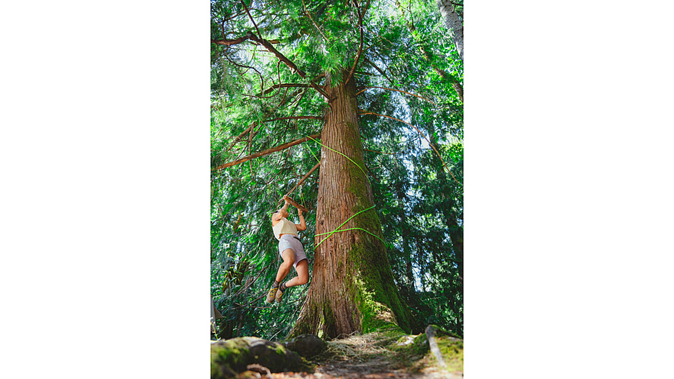 Black Diamond Ethos Shorts - Womens, White Oak, Medium, AP7501572019MED1