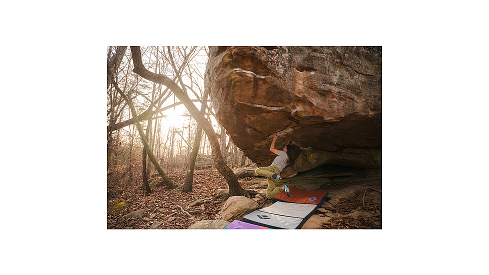 Black Diamond Notion Pants - Womens, Agave, Medium, AP7501433061MED1