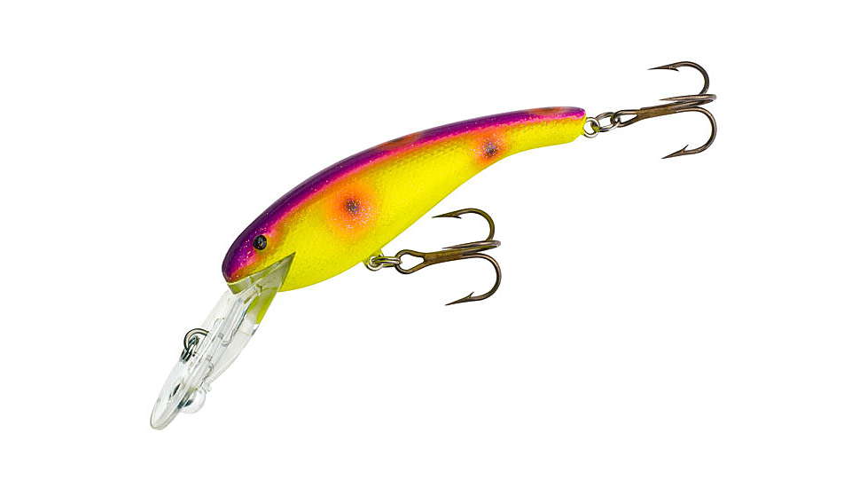 Cotton Cordell Wally Diver 2 1/2 in, 1/4 oz Crankbait, Asteroid, CD5583