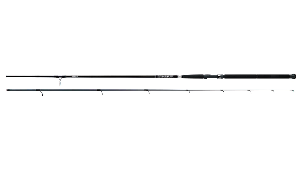 Daiwa Emcast Surf Spinning Rod, 8ft, Medium, Fast, 2 Pieces, EMCST802MFS