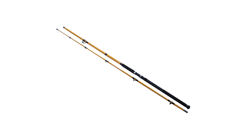 Daiwa FT Surf 2pc LnWt 10-25 FTS1102MFS