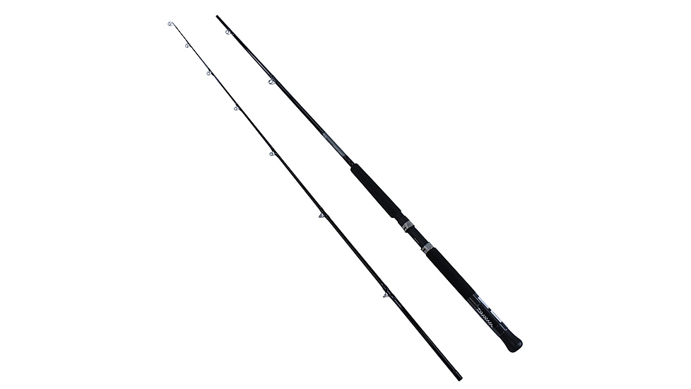 Daiwa Great Lake 2pc LnWt 12-27 GL902MHF-LC
