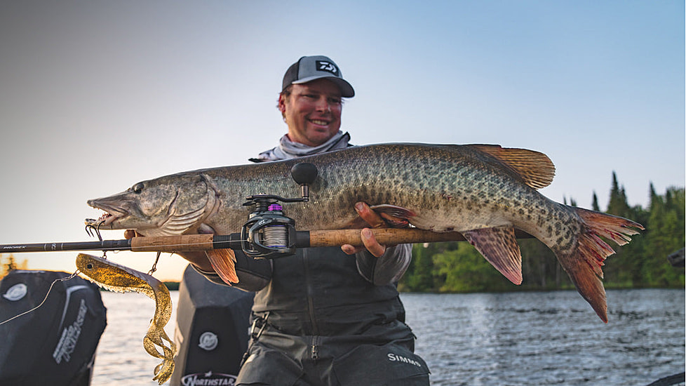 Daiwa Prorex TWS Baitcast Reel, 5.3-1, 8, Left Hand, PRX400PL-P