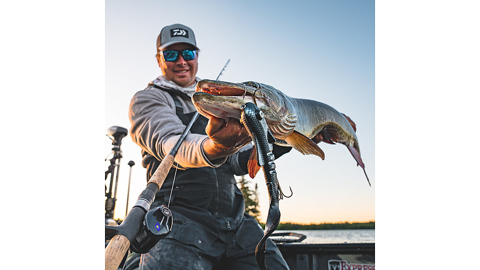 Daiwa Prorex TWS Baitcast Reel, 5.3-1, 8, Left Hand, PRX400PL-P