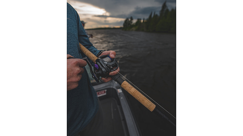 Daiwa Prorex TWS Baitcast Reel, 5.3-1, 8, Left Hand, PRX400PL-P