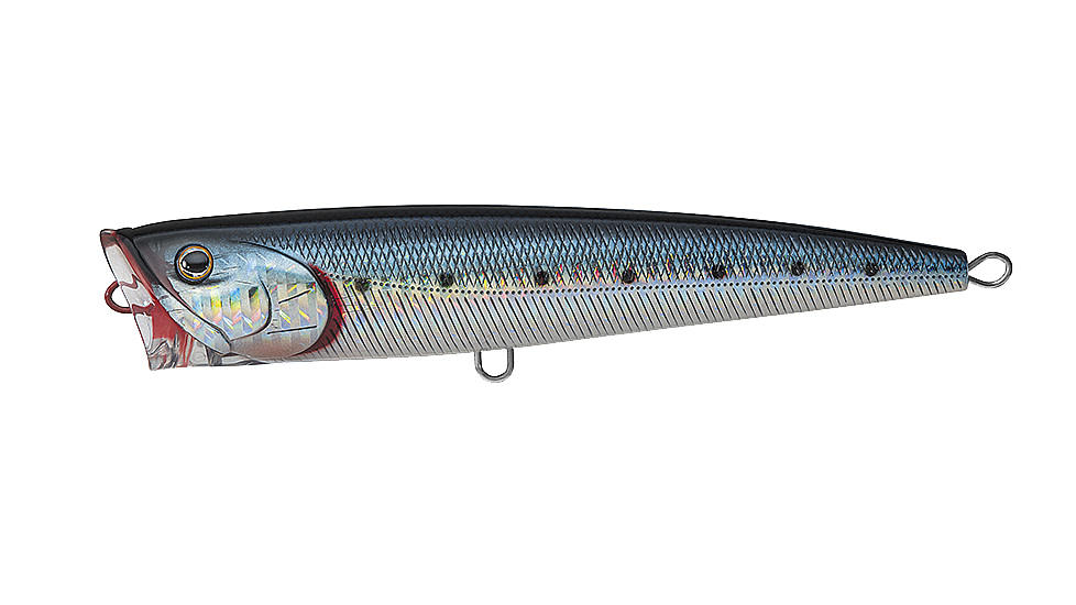 Daiwa Saltiga Dorado Popper Lure, 5.5in, 1 1/16oz, Laser Maiwashi, SADP14F86