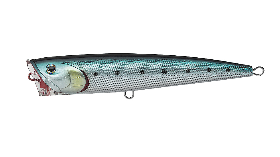 Daiwa Saltiga Dorado Popper Lure, 5.5in, 1 1/16oz, Maiwashi, SADP14F87