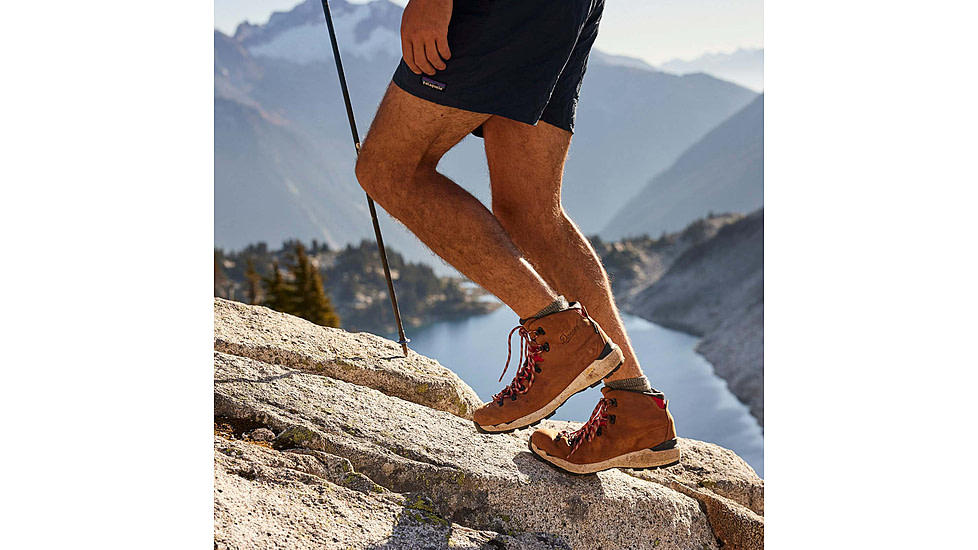 Danner Mountain 600 Evo 4.5in GTX Boots - Mens
