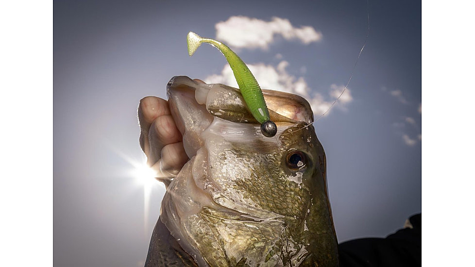 Duckett Fishing 3.0 Subtle Tail Soft Bait, 3in, White Pearl, MXST3.0 WP