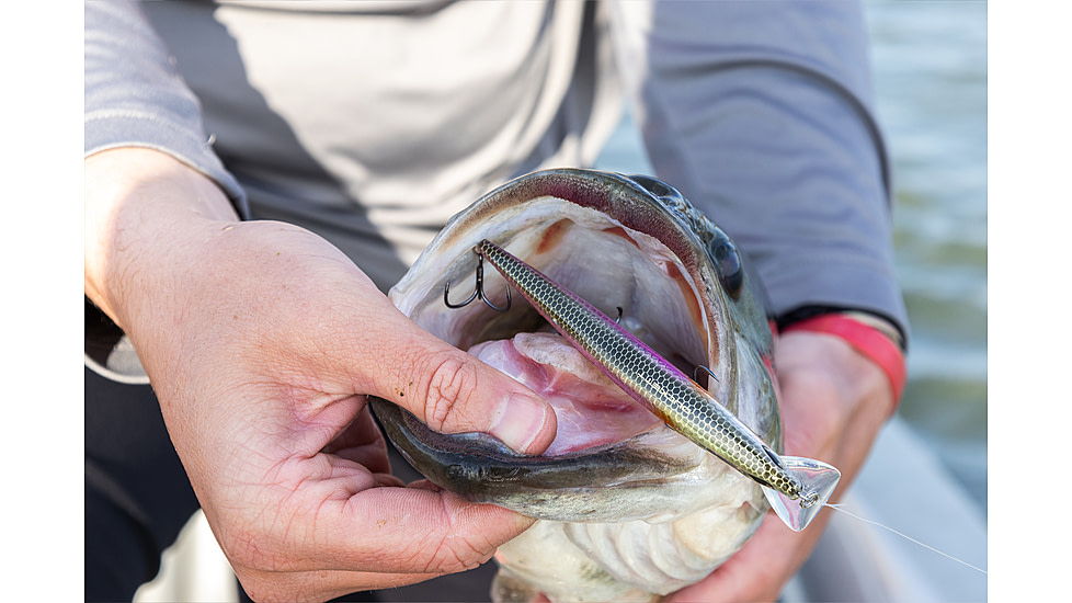 Duckett Fishing Reveal Forward Facing Sonar Jerkbait, 4.5in, 3/4oz, Chrome Shad, DBRJ3/4 CS