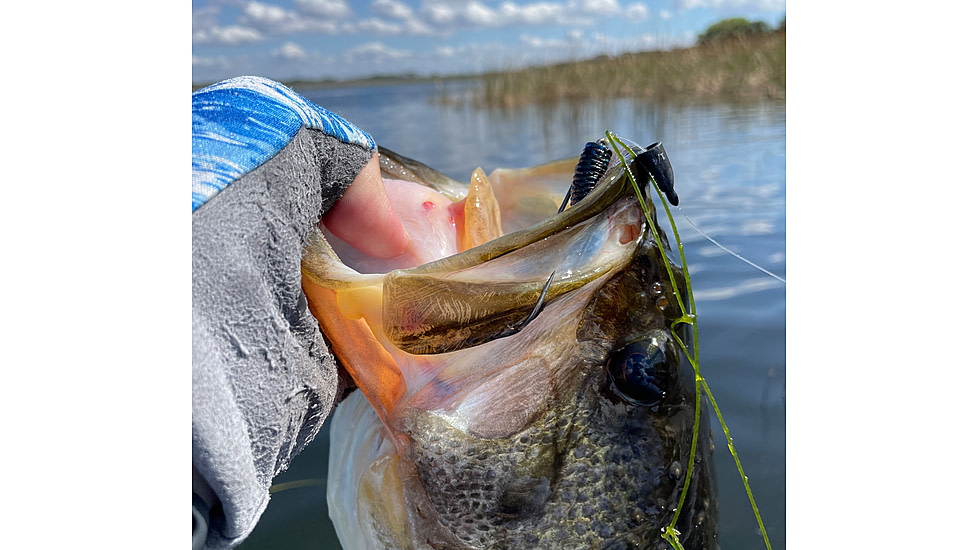 Fitzgerald Fishing F.F Tungsten Worm Weights, Black, 1/8oz, FFWW-1/8OZ