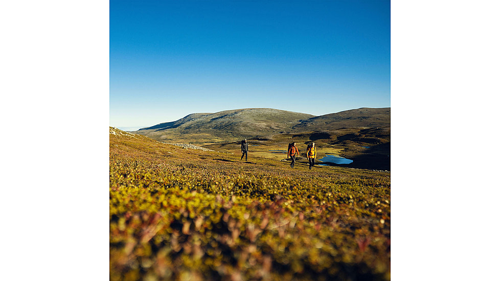 Fjallraven Abisko Lite Trekking Jacket - Mens, Buckwheat Brown/Dark Grey, Medium, F86132-232-030-M