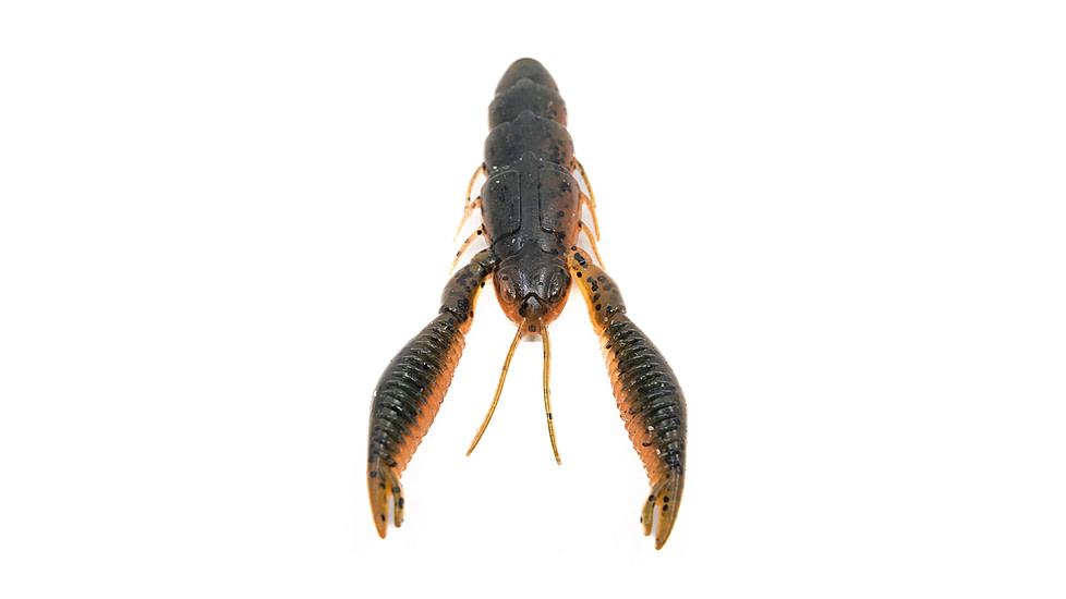 Googan Squad Tuggin Bug 4in Bait