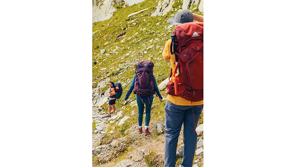 Gregory Baltoro 65L Pack, Brick Red, Large, 141299-1129