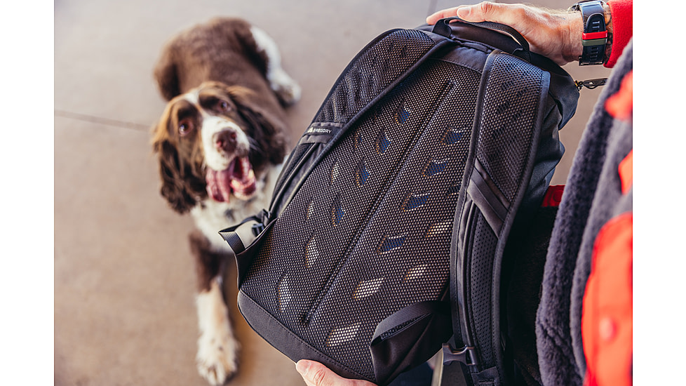 Gregory Nano 16L Daypack, Chalk White, One Size, 153056-A545