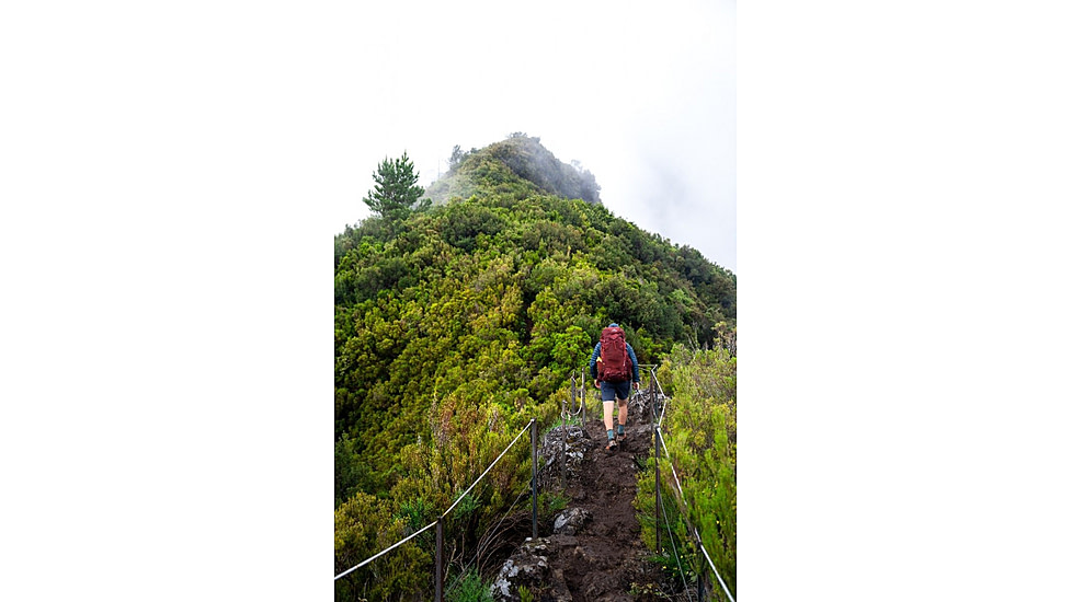 Gregory Paragon 50L Backpack - Mens, Desert Red, Medium/Large, 153022-A027
