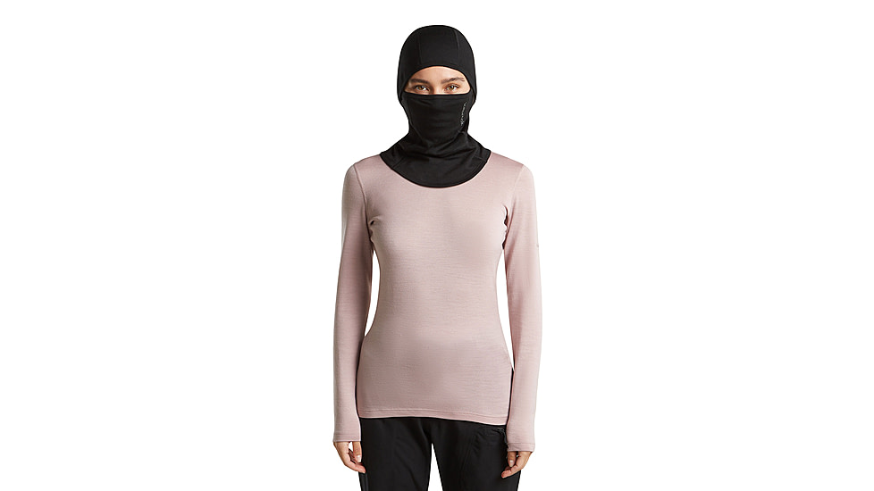 Icebreaker Merino 260 Tech Long Sleeve Crewe Top - Womens