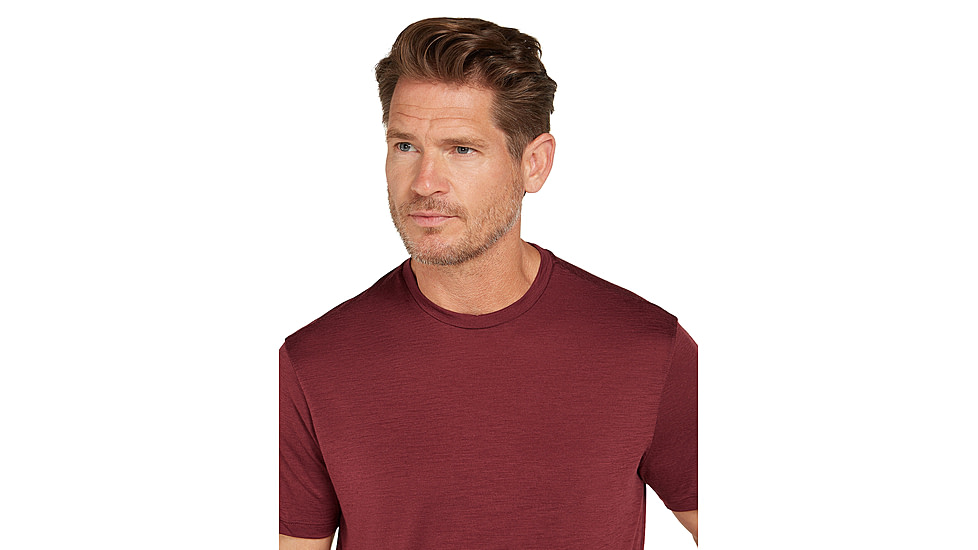Icebreaker Men Merino 150 Tech Lite SS Tee, Port, L, IB0A56WL01CL